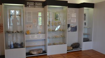 Természettudományi Gyűjtemény, Pásztó, A kiállítás korai miocén élővilágot és környezetet bemutató részlete (thumb)